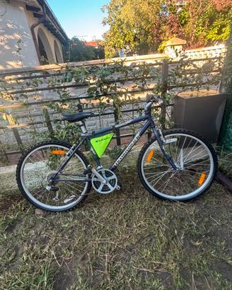 Bicicletta 26’