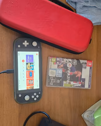 Nintendo switch lite