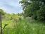 Immagine 20