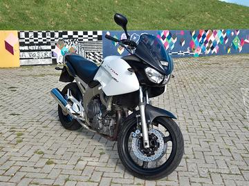 YAMAHA TDM 900 con bauletto GIVI
