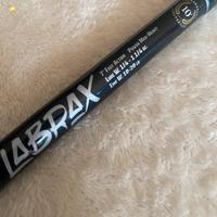 Canna seaspin labrax 10imo anniversario