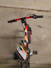bicicletta ragazzo 