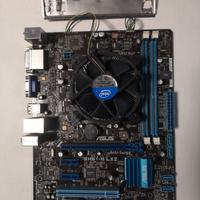 Scheda Madre Asus P8H61-M LX2+ CELERON G550