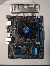 Scheda Madre Asus P8H61-M LX2+ CELERON G550