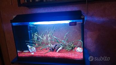 acquario completo 