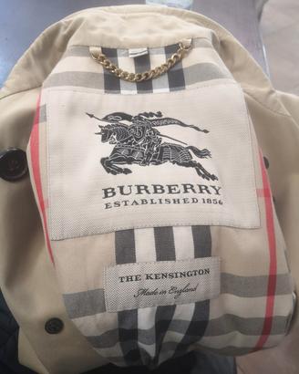burberry