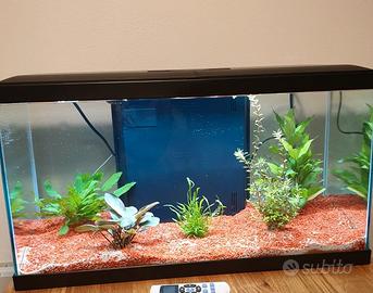 Acquario Askoll Aqua 60 + Mobiletto dedicato