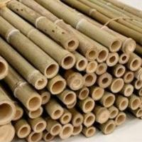 Canne di bambu'