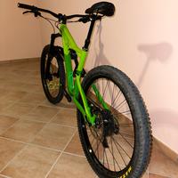 Specialized enduro fsr