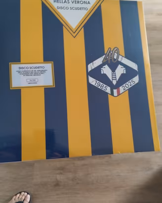 DISCO vinile 33 Giri HELLAS VERONA nuovo 