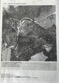 Terreno di 5 ettari