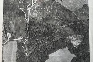 Terreno di 5 ettari