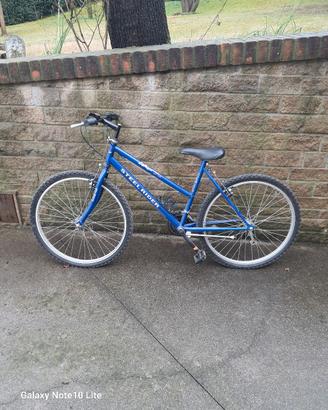 bicicletta 