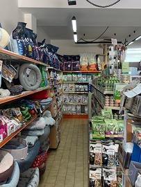 Petshop chiavi in mano a Cattolica