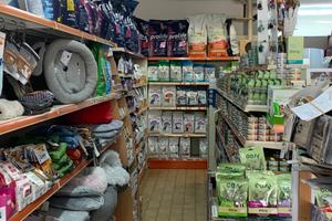 Petshop chiavi in mano a Cattolica