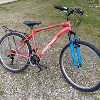 MTB Bici 26