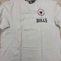 Nba bulls