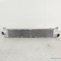 Intercooler anteriore Fiat Peugeot Citroën 2006-20