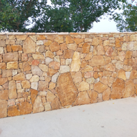 Muri in pietra
