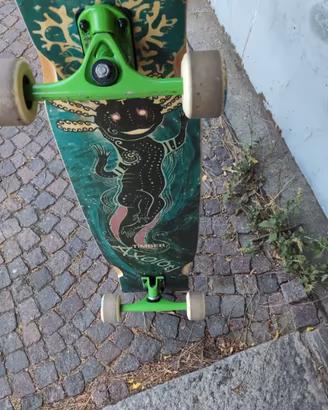 Longboard Timber Axolotl 
