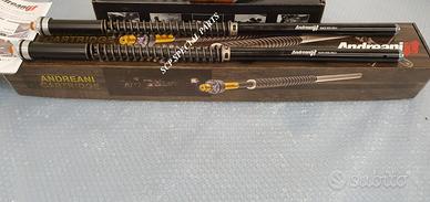 Triumph street scrambler cartucce forcelle misano