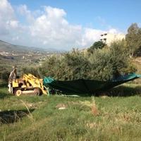 Ombrello Manuale di Raccolta