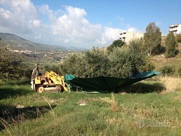 Ombrello Manuale di Raccolta