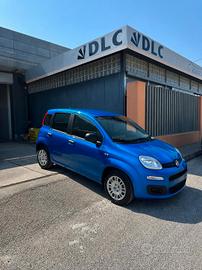 Fiat Panda 1.0 FireFly S&S Hybrid Icon