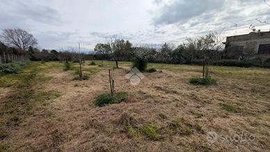 TER. AGRICOLO A POMEZIA