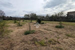 TER. AGRICOLO A POMEZIA