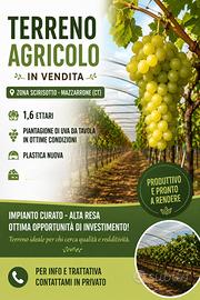 Terreno in produzione uva da tavola