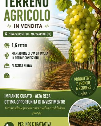 Terreno in produzione uva da tavola