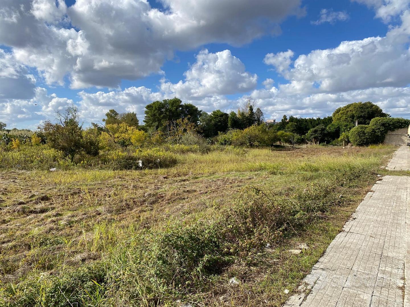 Terreno da lottizzare (C1) - Vista 4