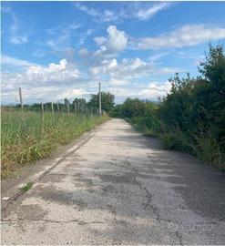 Immobile in asta di 1797 m² a San Bonifacio