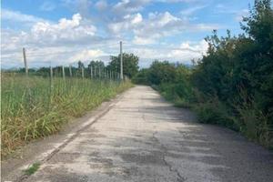 Immobile in asta di 1797 m² a San Bonifacio