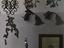 Immagine 6