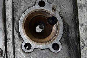 Testa polini e 13 pari per ciao