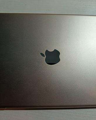 iPad air2 