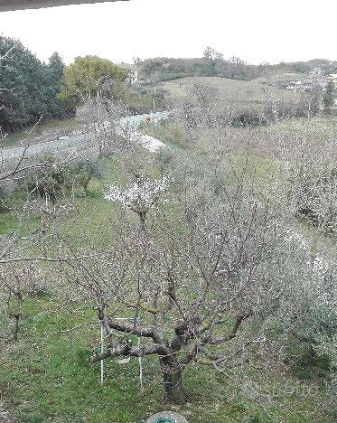 Terreno edificabile Silvi Marina - Vista 2