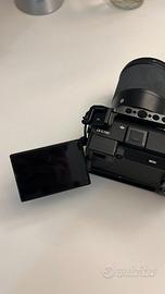 Sony a6700 + Sigma 16mm 1.4 + Cage SmallRig