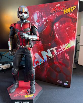 Hot Toys - Ant Man - Ant Man & The Wasp 1:6
