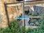 Immagine 21