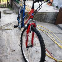 bicimtb raggio 26
