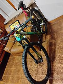 Mountain bike 