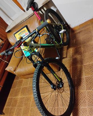 Mountain bike 
