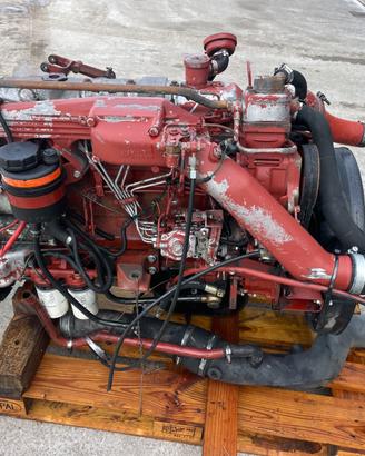 Motore Iveco Eurocargo sigla 8060.45 B