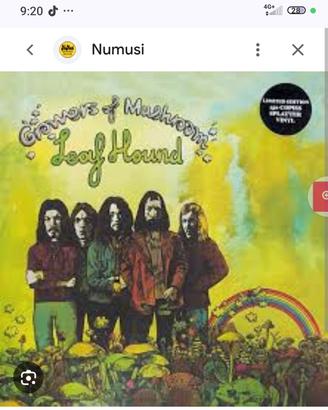 Leaf hound lp nuovo 