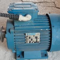 Motore elettrico trifase 1.5Kw