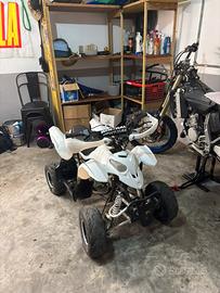 Quad profive 110 4 tempi