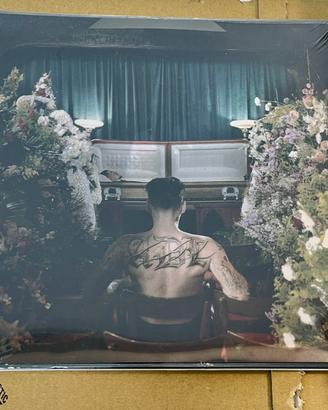 Disco Vinile sigillato A Dengerous Love